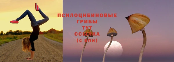 спайс Богородицк