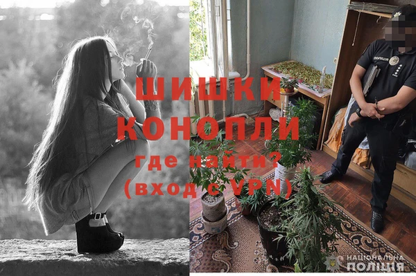 спайс Богородицк