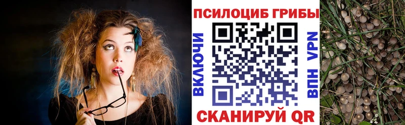 Галлюциногенные грибы прущие грибы  хочу   Кизел 