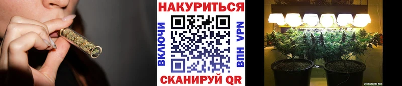Бошки марихуана сатива  Кизел 